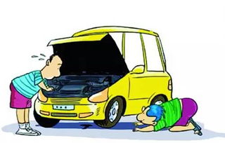 出租汽車規(guī)范運(yùn)營與文明駕駛要求